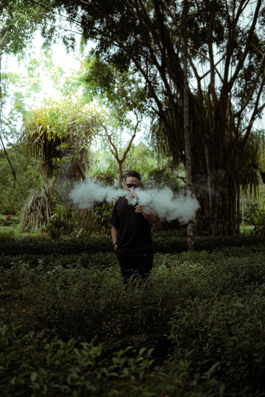 vape tank
