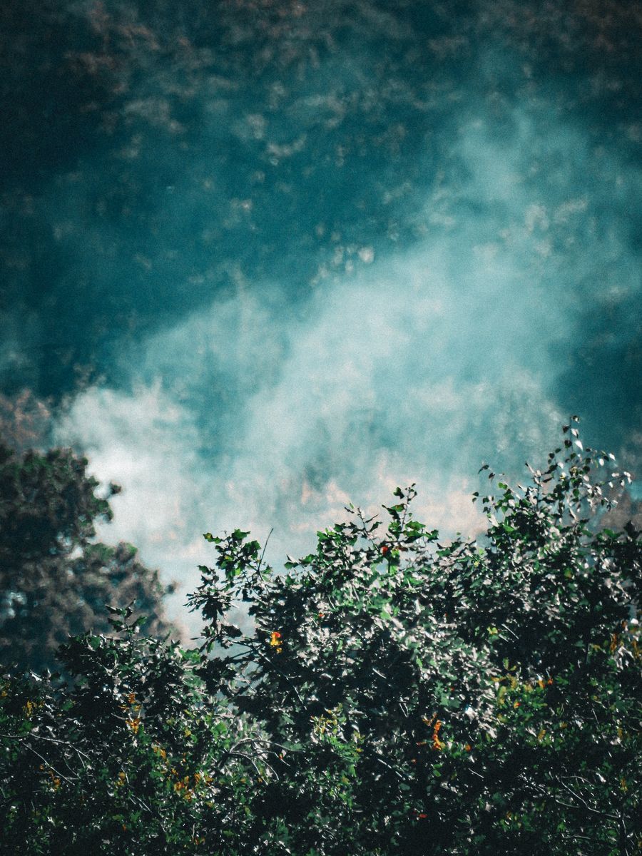 vape pod