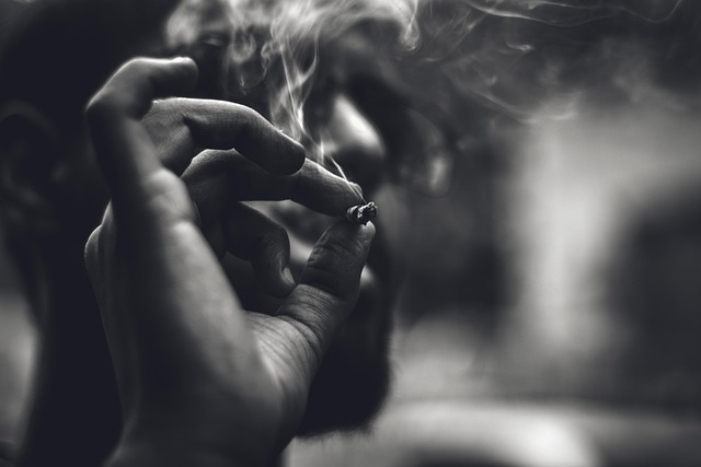 vape bundle